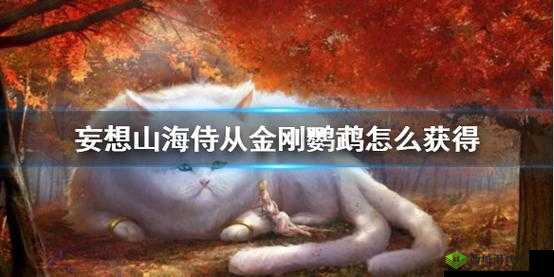 《妄想山海:鹦鹉招募指南》—— 解析鹦鹉招募价值