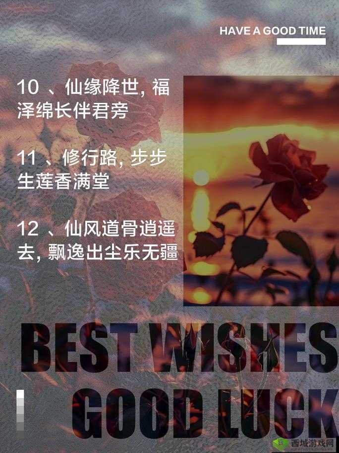 探索修行路途:杂役弟子迈向仙途新手指南