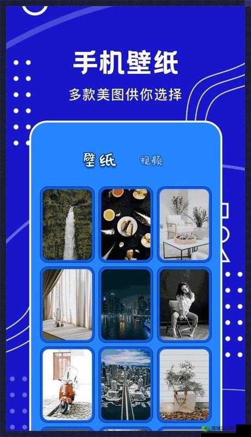 混乱小镇公交车售票员职责:工作要点与规范