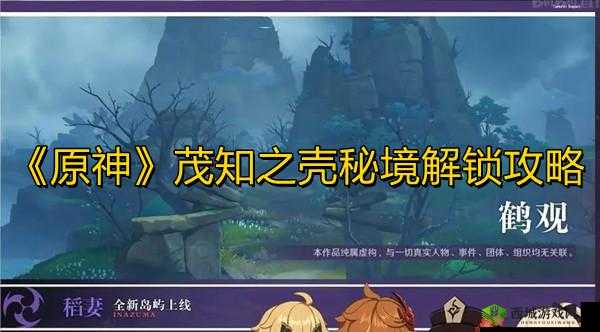 原神茂知之壳秘境攻略大全:解锁秘境之门,探索未知领域