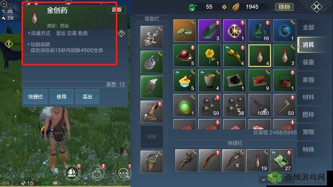 妄想山海:宠物受伤了怎么办?教你几招快速回血的方法