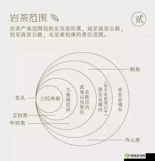 99 品一二三产区区别:特点与差异全解析