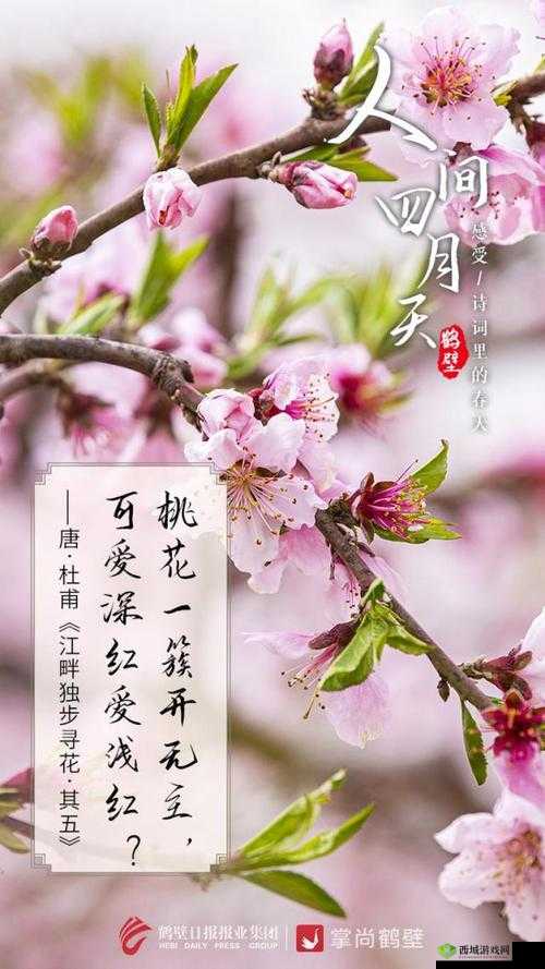 亭亭玉立国色天香四月天：最美的时节