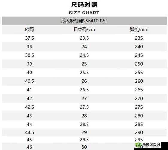 欧洲码日本码专线：优质服务之选