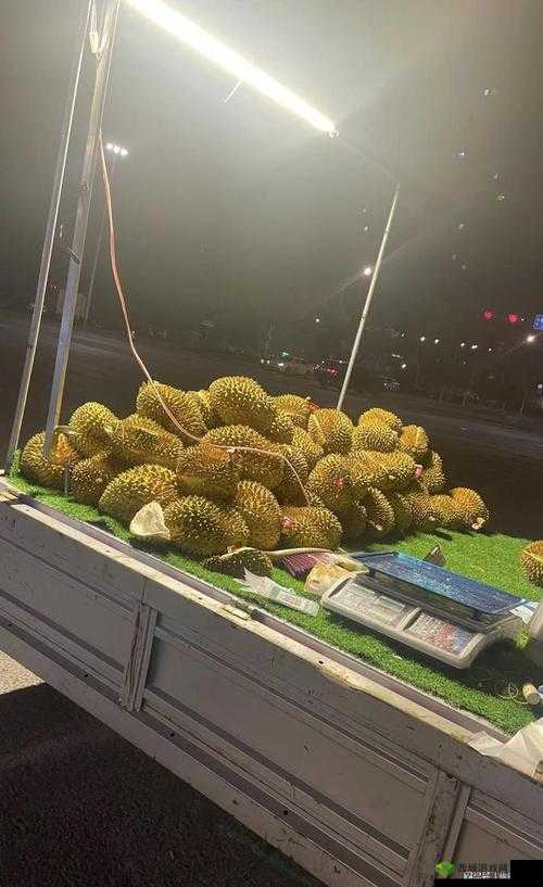 茄子丝瓜草莓香草榴莲大全:美味果蔬香草集合