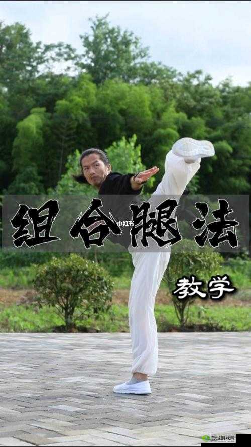 镜流ちゃんが腿法的历史起源：其发展历程