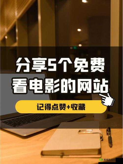 免费网站看电影和电视哪个好:深度解析对比