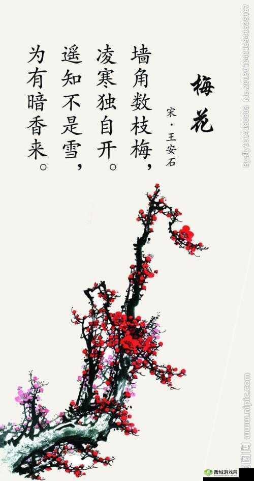 影之诗梅花战士卡牌全解析:资料图鉴与效果精彩点评