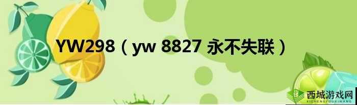 yw 永不失联国际 2024：开启全新征程