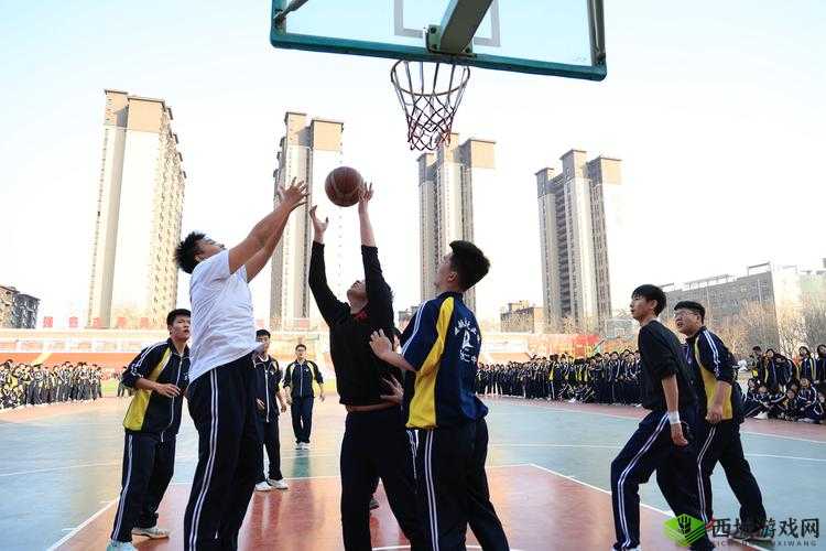 校园 1V2:青春热血的对战校园 1V3:激情飞扬的较量