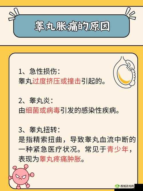 睾丸胀痛难忍,和女友在一起竟是原因