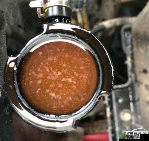 小兄弟里面有白色物质怎么回事:原因及应对之策