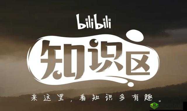 年轻人的B站:知识与娱乐并存