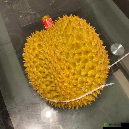 榴莲视频色斑让你流连忘返:如此迷人