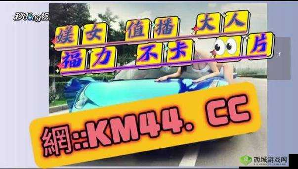 忘忧草蜜芽老狼更新速度快:优质内容持续输出