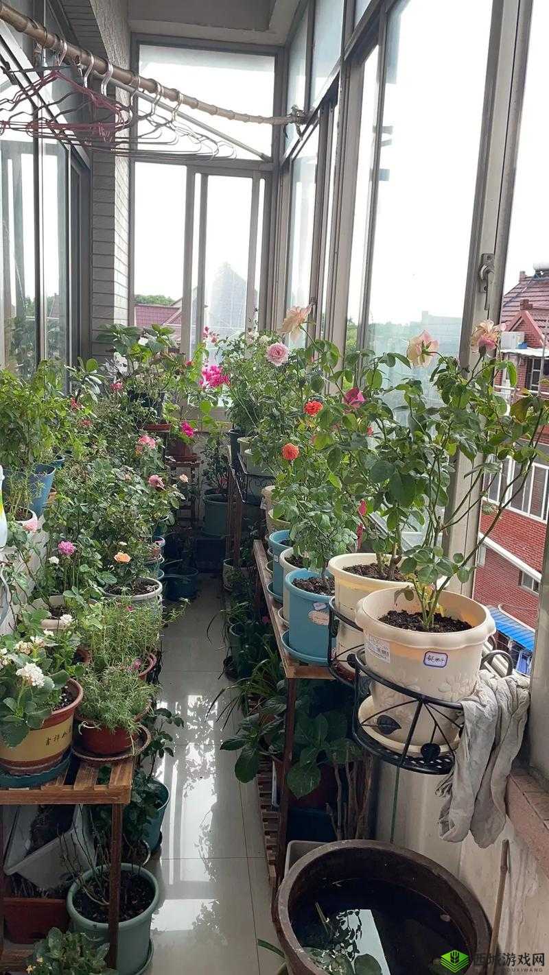 照顾小花园技巧:如何精心呵护小花园