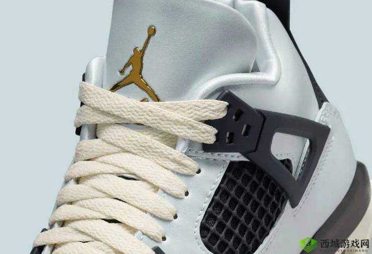 AIR JORDAN 重口:付费方可访问