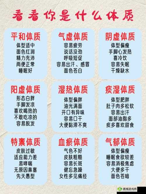 修真江湖中的至尊体质解析:探寻最佳体质推荐与奥秘之旅