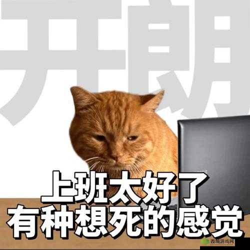 班长成全班插座，这个班怎么了？