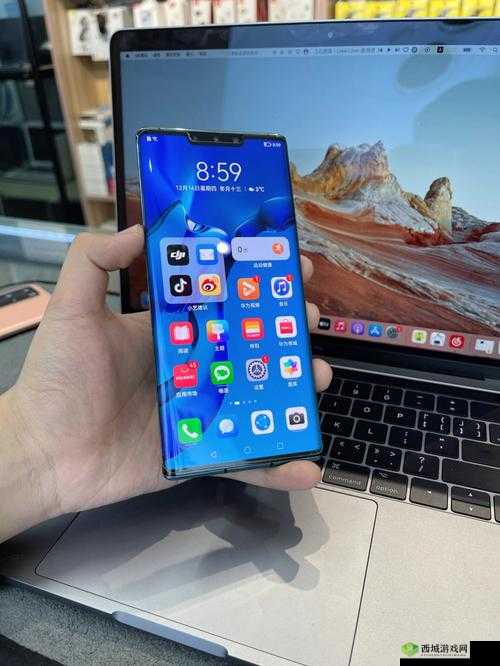 欧美无 mate30pro 巨:一款独特的手机