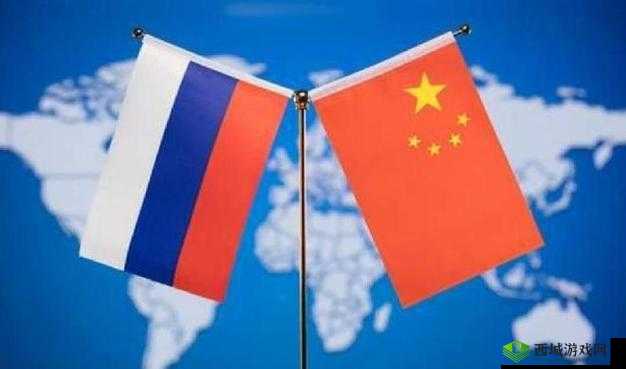俄罗斯 VS 韩国:体育场上的激烈交锋