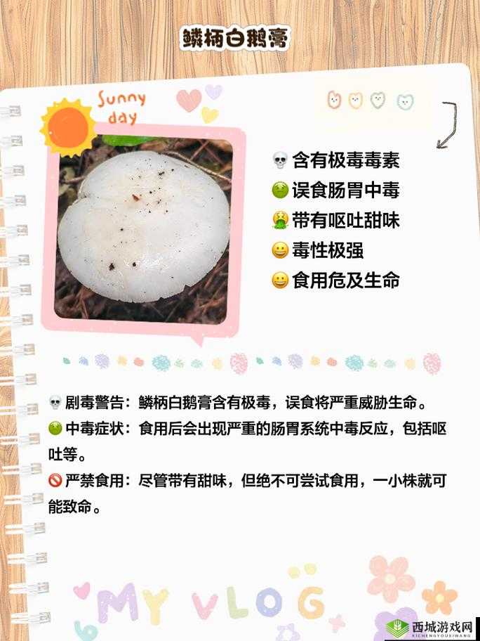 蘑菇黑料爆料:惊人内幕大揭秘