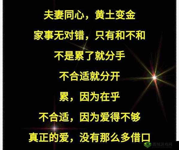 JAVAPARSERHD 夫妻：相伴一生的承诺