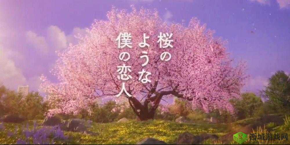 樱花电影大全免费观看:海量影片任你看