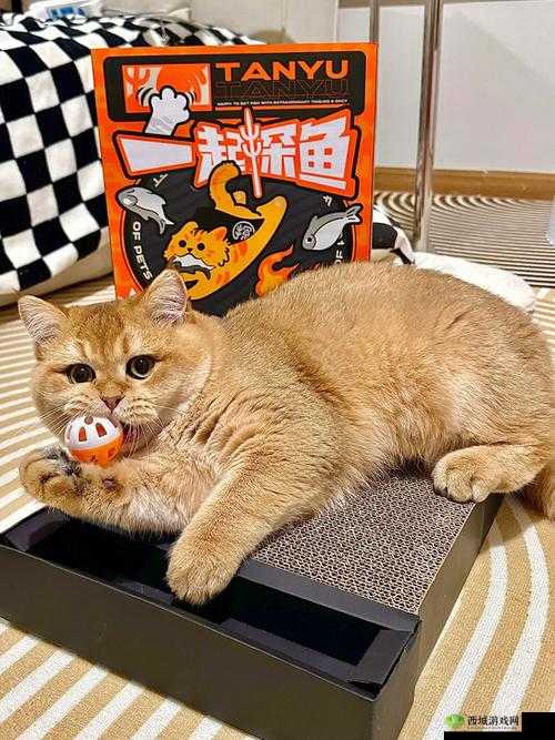 就喜欢你叫 1V1 烤鱼猫:一场独特的声音之旅