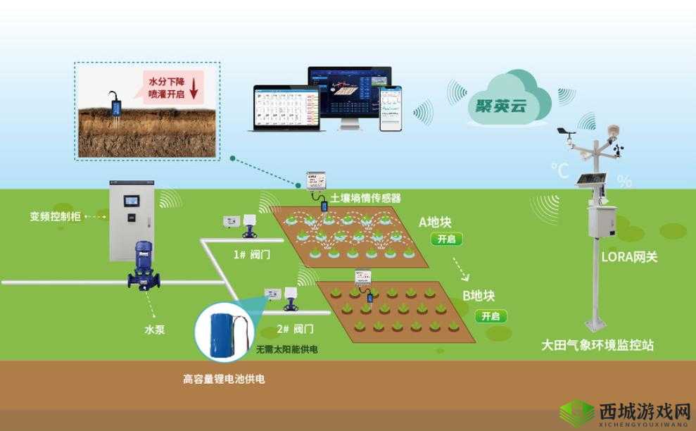 精准灌溉系统y液收集系统:创新农业的关键