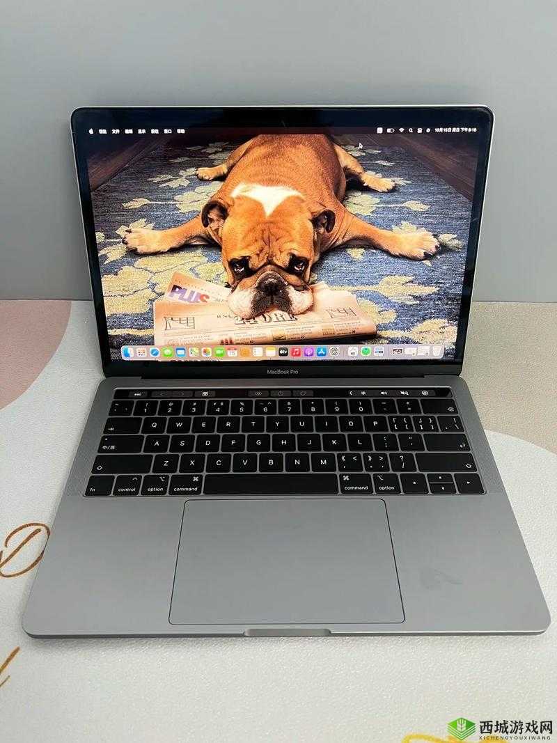 1213 岁 macbook 日本:相关介绍