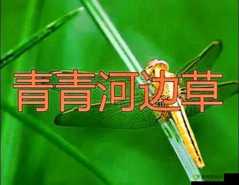 青青河边草高清免费版新闻报道:经典再现备受关注