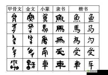 汉字的奥秘:全面解析汉字安装步骤与配置指南