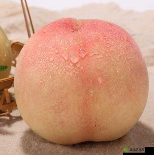 欧产日产国色天香水蜜桃:口感鲜嫩多汁