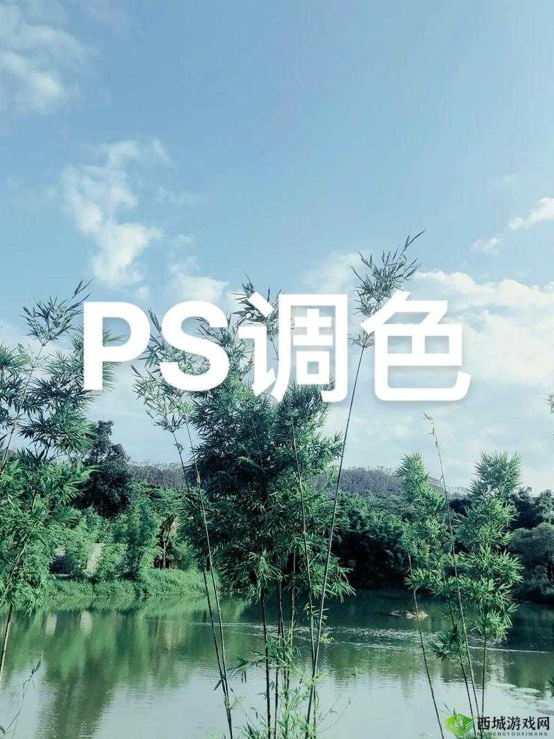 免费 PS 大片段视频调色:专业服务