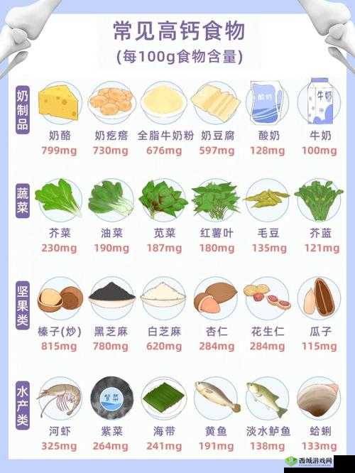 双龙进洞夹心饼干：高钙高蛋白的营养选择