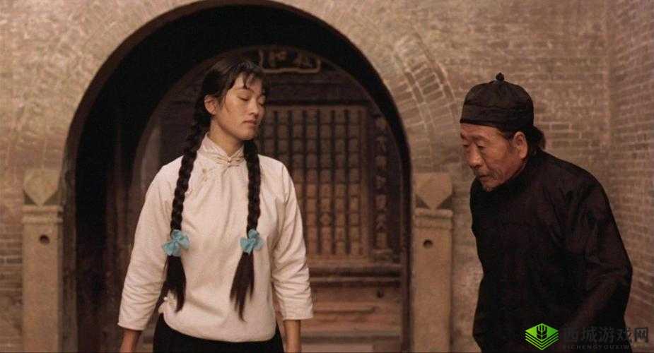 三妻四妾的电影电视剧：妻妾成群的那些事