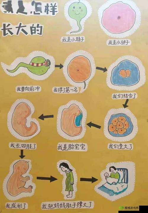 120 分钟没有淹没有遮随便:探索背后的奥秘