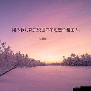 老婆说想找个陌生人试试复合:背后的隐情