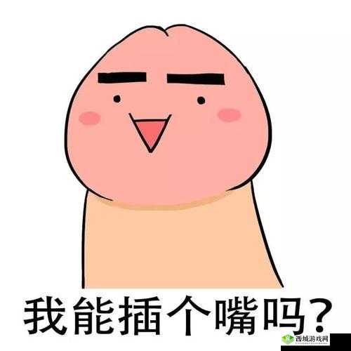 我可以插嘴吗无怎么看：对此你有何看法
