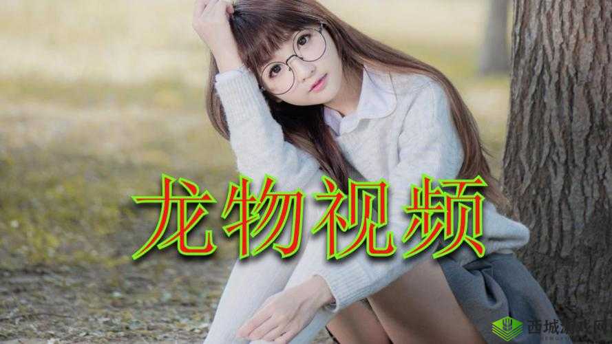 YW 龙物失联:一场离奇的失踪事件