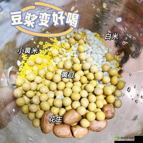 自制豆浆难题解:实用技巧与经验分享