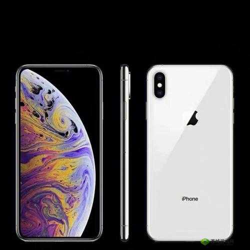 IPHONEXSMAX 日本：其在当地的影响力