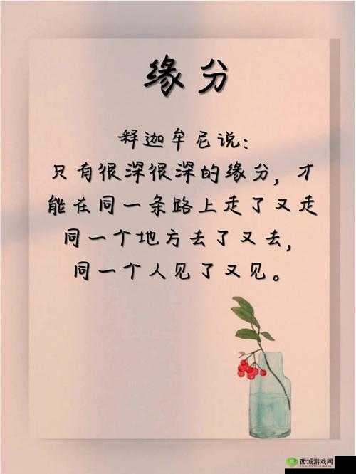 阴差阳错 1∨1 宋衿:一段奇妙缘分