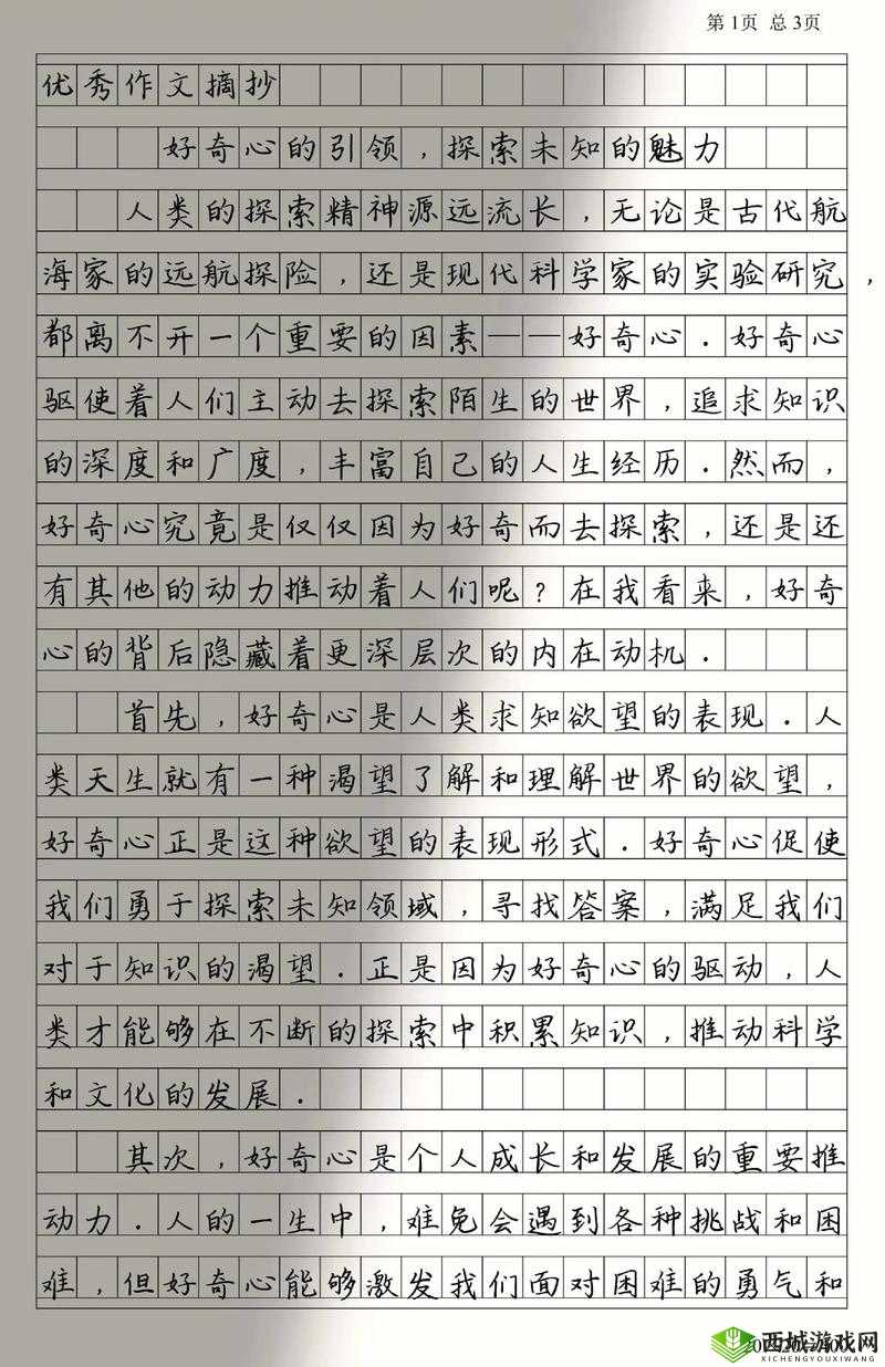 干 B 网:探索未知的精彩世界