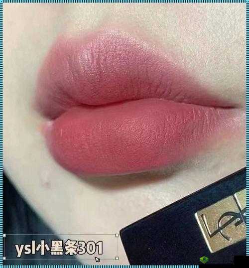 YSL 蜜桃色 6696:美丽新时尚