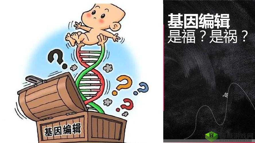蛛网缠身：是福还是祸？