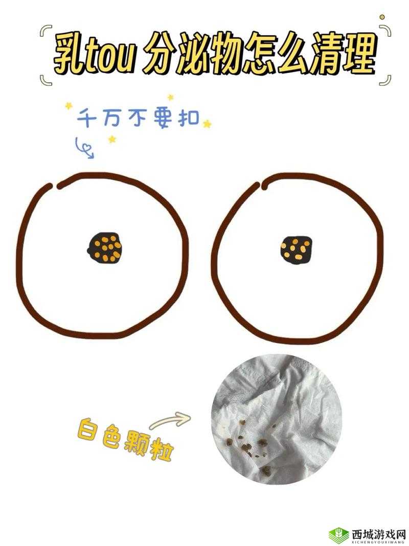 小弟里面有白色的东西怎么清理:实用方法分享