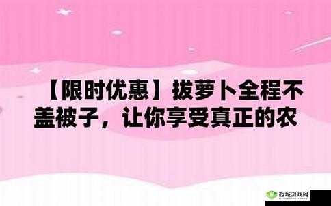 意思打牌盖被子(黄):别样趣味玩法