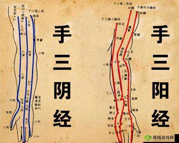 江湖气息紊乱与经脉冲穴异常的应对之策:探究内外调和的自然疗法
